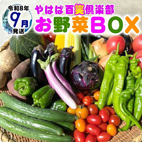 数量限定　矢巾町産　秋野菜セット【10種】9月発送