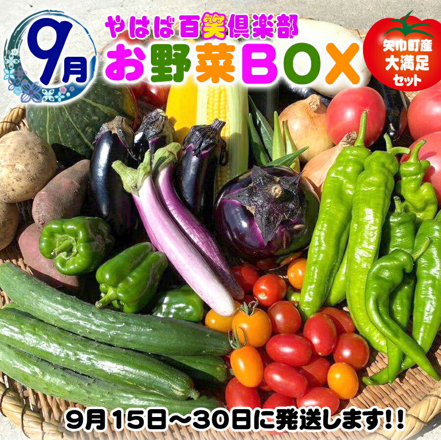 【ふるさと納税】数量限定　矢巾町産　秋野菜セット【10種】9月発送 - 画像2