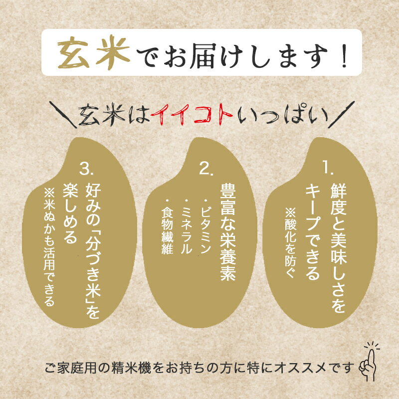 【ふるさと納税】令和7年産　素材の味を引き立てるカラダにやさしいお米　徳田米　ササニシキ玄米　30kg/岩手県産 玄米 米 コメ こめ 徳田米 献上米 ブランド米 産地直送 厳選 鮮度 旬 米 ごはん おにぎり めし ふっくら 人気 お取り寄せ 高評価 ふるさと 岩手県 矢巾町 - 画像3