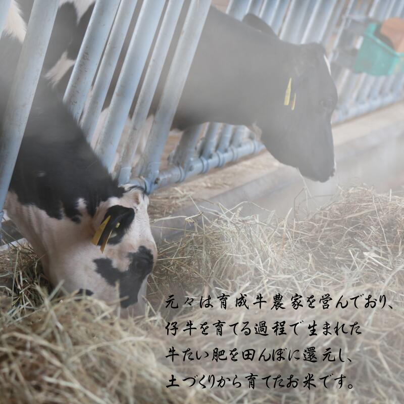 【ふるさと納税】 令和7年産 平泉町産 ひとめぼれ 白米 選べる容量 / 5kg 10kg 15kg 20kg 30kg / こめ コメ 米 お米 おこめ 白米 ご飯 ごはん ライス 山水 - 画像3