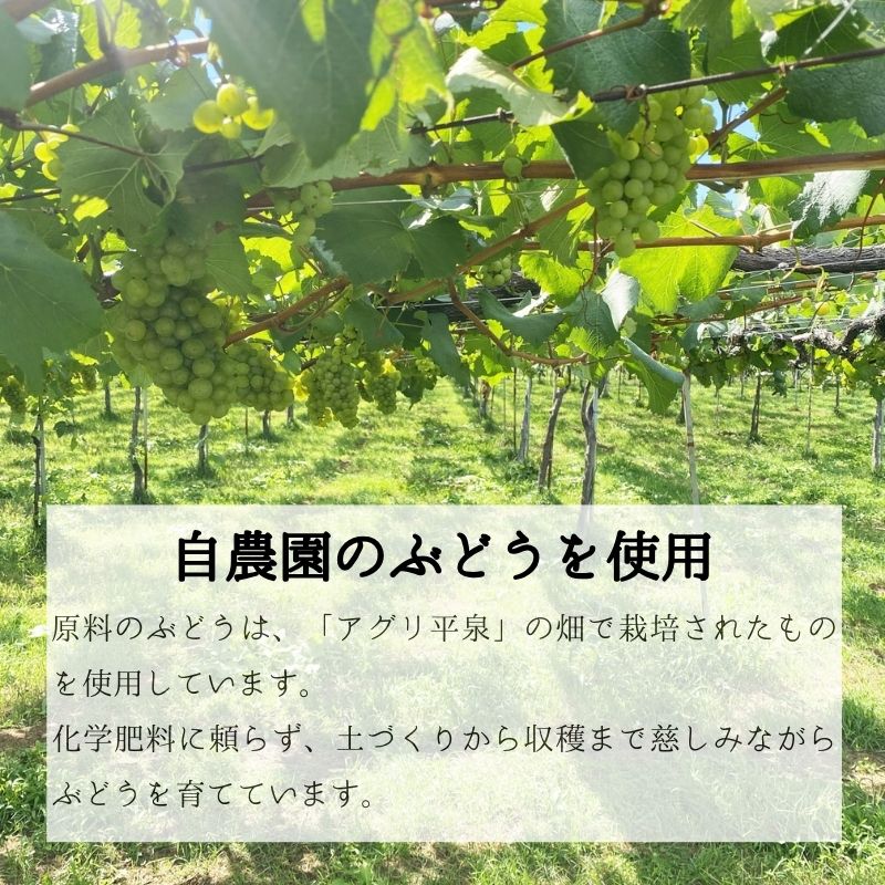 【ふるさと納税】 平泉ワイン　Ora　オラ　ソーヴィニヨンブラン　750mL　お酒 酒 アルコール 白ワイン 白 国産 2024年産 宅飲み ギフト 岩手県 平泉町　【mih-wine-002】 サムネイル2