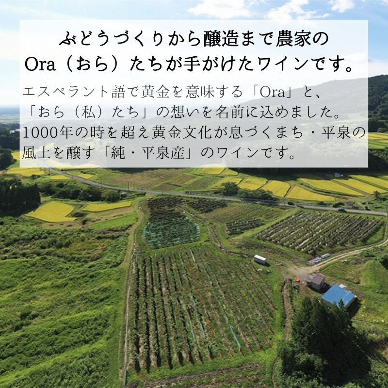 【ふるさと納税】 平泉ワイン　Ora　オラ　ソーヴィニヨンブラン　750mL　お酒 酒 アルコール 白ワイン 白 国産 2024年産 宅飲み ギフト 岩手県 平泉町　【mih-wine-002】 サムネイル3