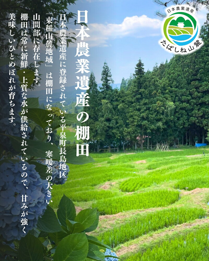 【ふるさと納税】【令和8年産先行予約】＼人気No.1／ 令和8年産 【10月初旬発送】平泉町産 特別栽培米ひとめぼれ 2～20kg / お米 米 ご飯 ごはん おにぎり おいしい 岩手 平泉 お試し用 精米 国産 精米 産地直送 日本農業遺産 精米 銘柄米 お米 米 ギフト 贈り物 グルメ - 画像3