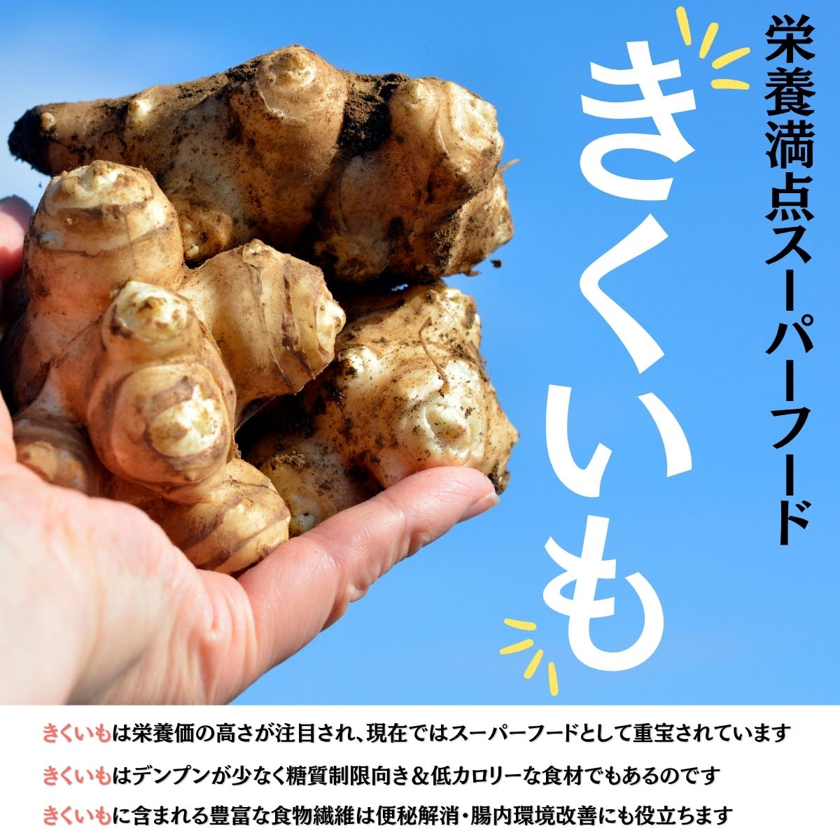 【ふるさと納税】栄養満点スーパーフードきくいものチップス＆パウダーのセット/チップス40g×5袋、パウダー30g×5袋/国産 岩手県産 小分け 個包装【#0134_kik】 - 画像2