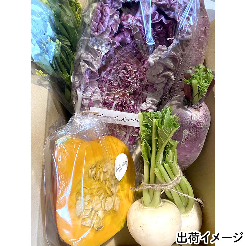 【ふるさと納税】三陸山田産 カラフル 野菜 【2026年5月中旬〜発送】 ニンジン ピーマン トマト かぼちゃ じゃがいも ほうれん草 白菜 ニンニク 春菊 さつまいも 無農薬 減農薬 詰合せ お弁当 新鮮野菜 岩手県 山田町 YD-1017var - 画像2