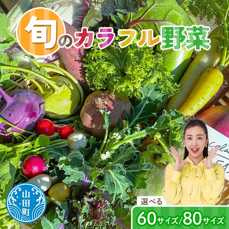 三陸山田産 カラフル 野菜 【2026年5月中旬〜発送】 ニンジン ピーマン トマト かぼちゃ じゃがいも ほうれん草 白菜 ニンニク 春菊 さつまいも 無農薬 減農薬 詰合せ お弁当 新鮮野菜 岩手県 山田町 YD-1017var