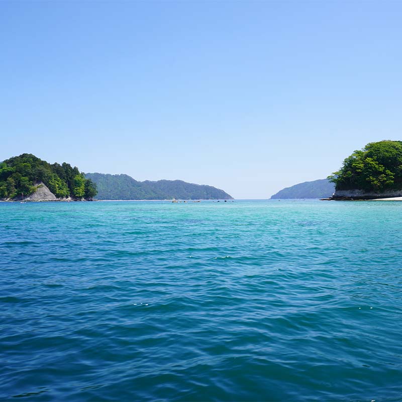 【ふるさと納税】リピーター多数 【岩手三陸山田】釣り船 邦栄丸 乗船券 4名分 山田町 山田湾 釣り船 船釣り 体験 カレイ アイナメ ソイ イカ ワラサ マス タラ メガラ YD-689 - 画像2