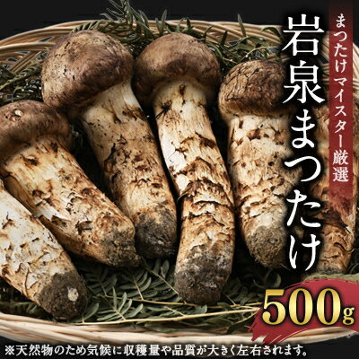【2026秋発送】岩泉まつたけ 500g【配送不可地域：離島】【1421537】