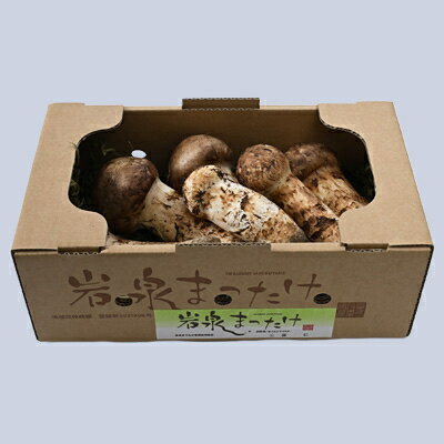 【ふるさと納税】【2026秋発送】岩泉まつたけ 500g【配送不可地域：離島】【1421537】 - 画像2