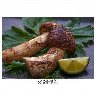 【ふるさと納税】【2026秋発送】【特選】岩泉まつたけ 直送 1kg【配送不可地域：離島】【1423383】 - 画像3