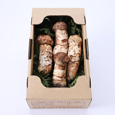 【ふるさと納税】【2026秋発送】【特選】岩泉まつたけ 直送 300g【配送不可地域：離島】【1423393】 - 画像2