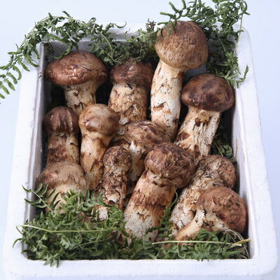 【ふるさと納税】【2026秋発送】≪産地直送≫　岩泉まつたけ 1kg【配送不可地域：離島】【1423716】 - 画像2