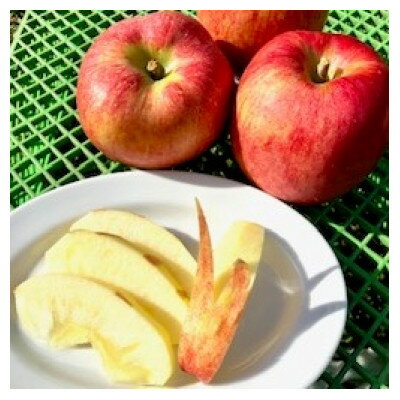 岩手県岩泉町産りんご(5キロ:約12個)希少品種!「大夢(おおゆめ)」　【1444489】