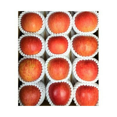 岩手県岩泉町産りんご　サンふじ(5キロ:約12個)【1575918】