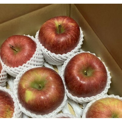 岩手県岩泉町産りんご　サンふじ(3キロ:約8個)【1580477】
