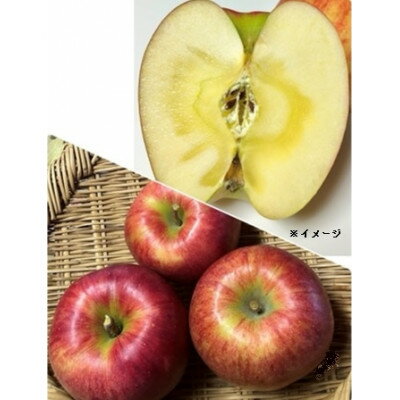 岩手県岩泉町産 りんご2品種(サンふじ・大夢)食べくらべ! 5キロ(約12個)【1614547】