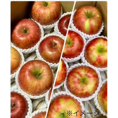 【ふるさと納税】岩手県岩泉町産 りんご2品種(サンふじ・大夢)食べくらべ! 5キロ(約12個)【1614547】 サムネイル3