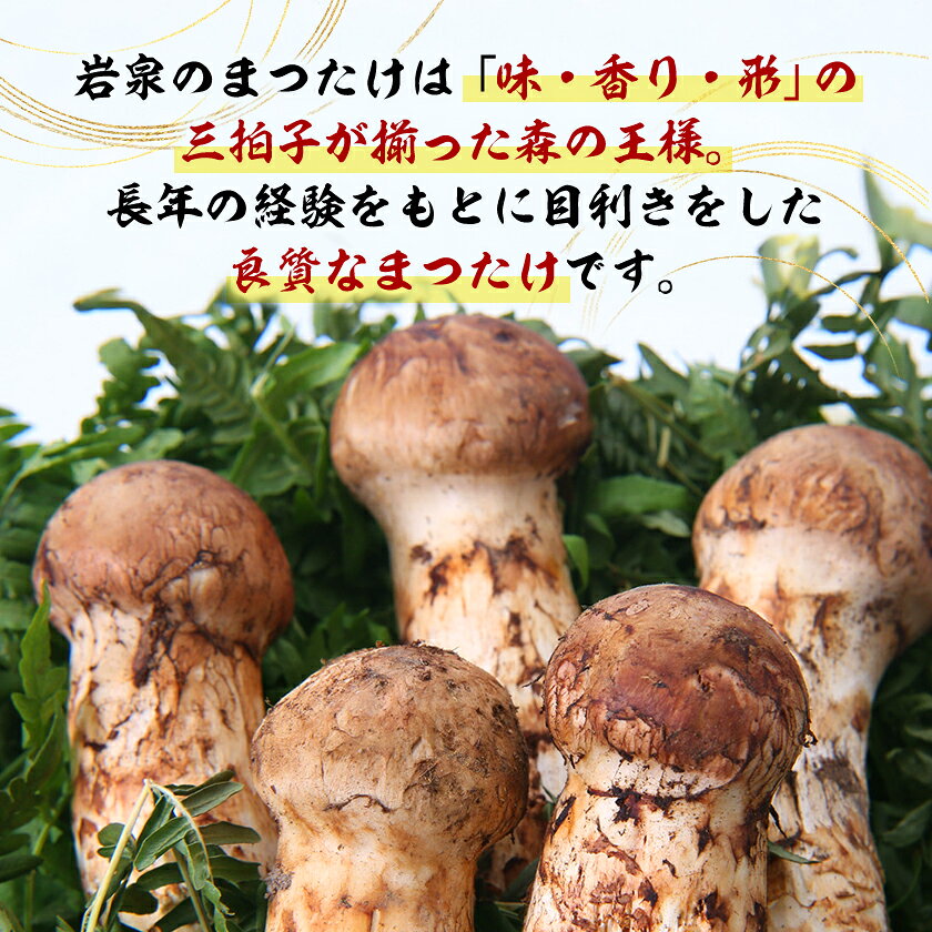 【ふるさと納税】【2026秋発送】岩泉まつたけ 直送 500g_ 松茸 まつたけ マツタケ 国産 国産松茸 天然松茸 天然まつたけ きのこ キノコ 産直 産地直送 焼き松茸 天ぷら 土瓶蒸し 松茸ご飯 秋の味覚 岩手県 岩泉町 送料無料 【配送不可地域：離島】【1423376】 - 画像3