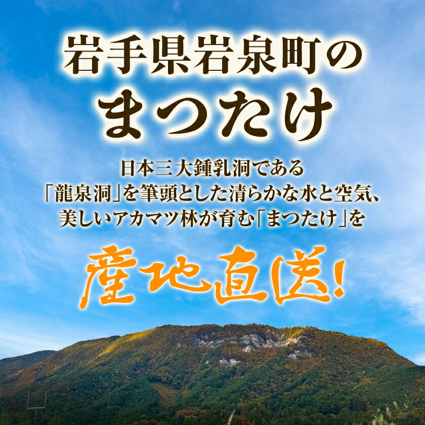 【ふるさと納税】【2026秋発送】≪産地直送≫　岩泉まつたけ 250g_ 松茸 まつたけ マツタケ 国産 国産松茸 天然松茸 天然まつたけ きのこ キノコ 産直 産地直送 焼き松茸 天ぷら 土瓶蒸し 松茸ご飯 岩手県 岩泉町 送料無料 【配送不可地域：離島】【1423712】 - 画像2