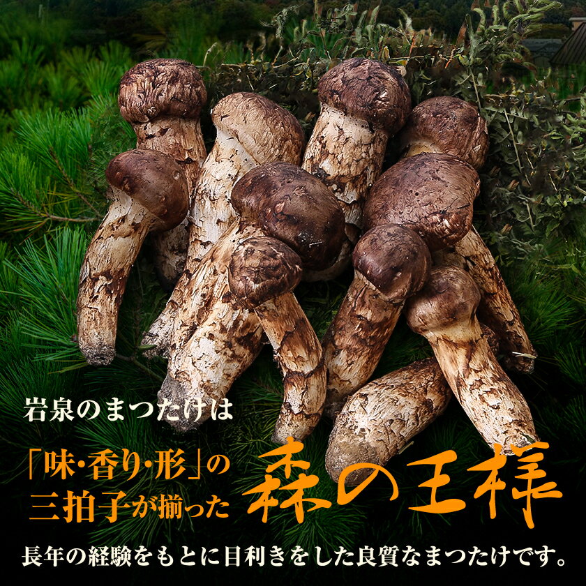【ふるさと納税】【2026秋発送】≪産地直送≫　岩泉まつたけ 250g_ 松茸 まつたけ マツタケ 国産 国産松茸 天然松茸 天然まつたけ きのこ キノコ 産直 産地直送 焼き松茸 天ぷら 土瓶蒸し 松茸ご飯 岩手県 岩泉町 送料無料 【配送不可地域：離島】【1423712】 - 画像3