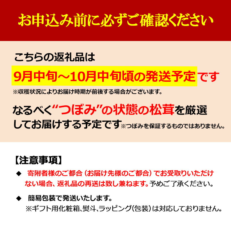 【ふるさと納税】【2026秋発送】松茸マイスター厳選!旬の岩泉産松茸　250g(前後)【配送不可地域：離島】【1516081】 - 画像2