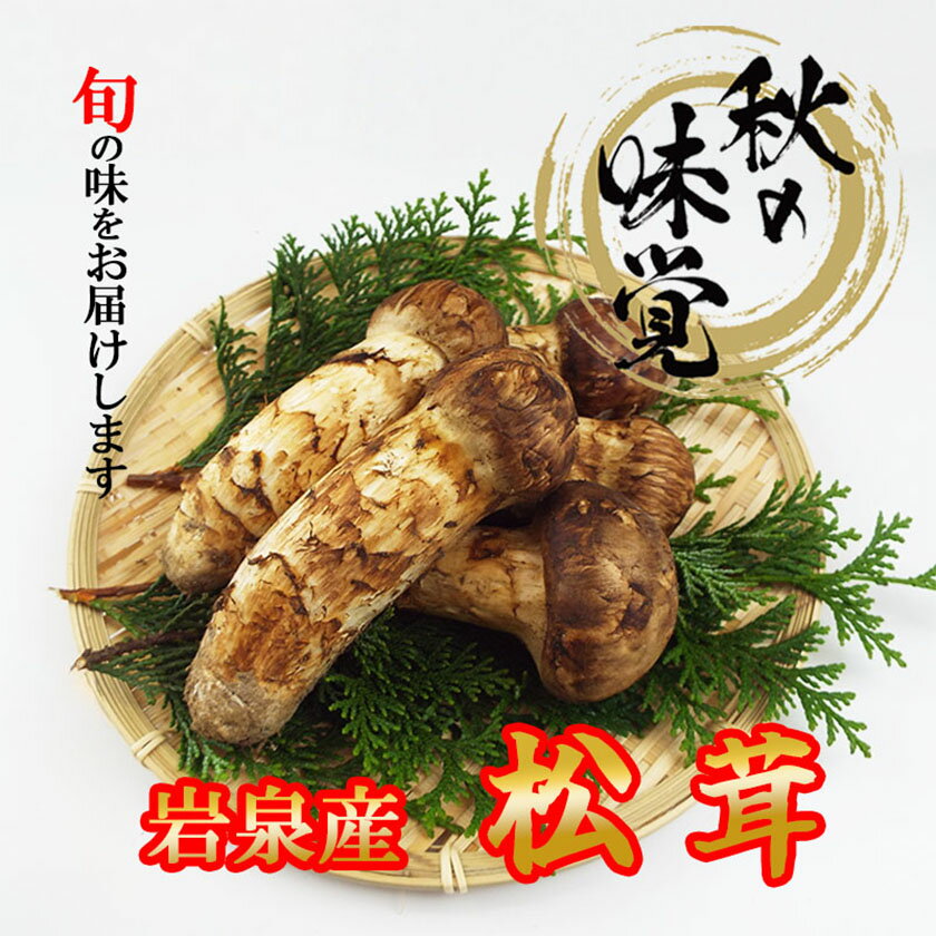 【ふるさと納税】【2026秋発送】松茸マイスター厳選!旬の岩泉産松茸　250g(前後)【配送不可地域：離島】【1516081】 - 画像3