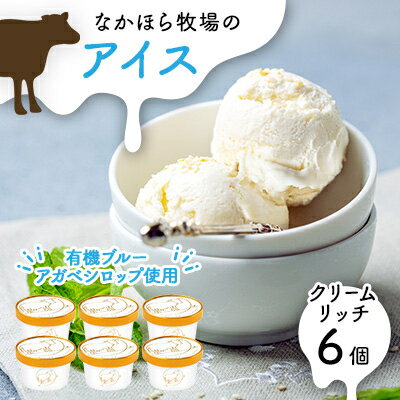 なかほら牧場 アイスクリーム《クリームリッチ》6個セット_ アイスクリーム アイス 乳製品 デザート なかほら牧場 美味しい 人気 セット 【配送不可地域：離島】【1407082】