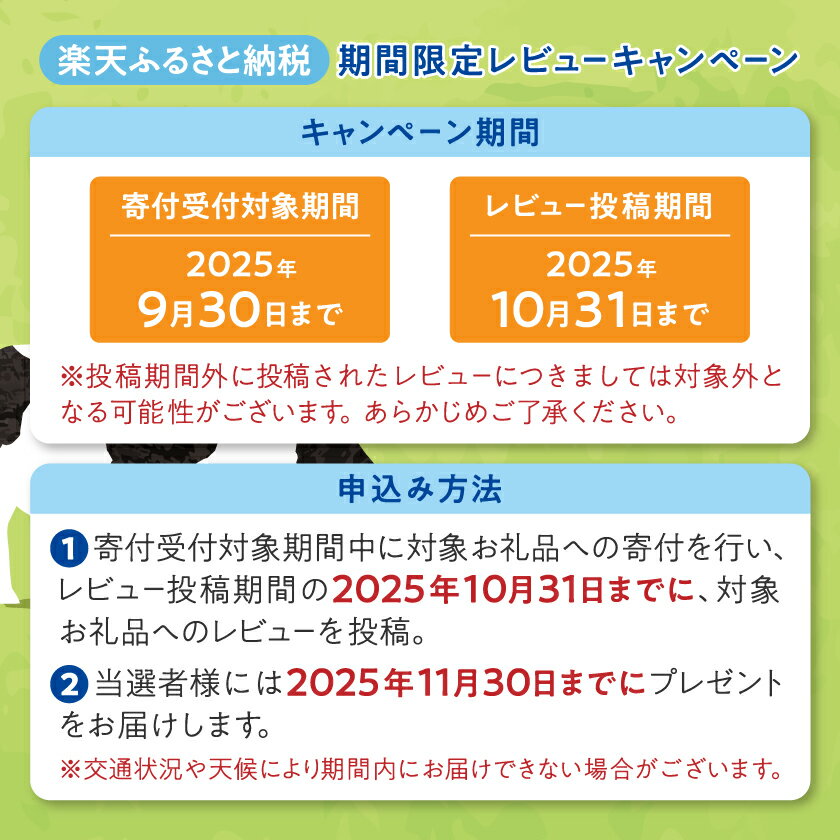 【ふるさと納税】岩泉ヨーグルト2袋セット(加糖1kg×2袋)_ ヨーグルト 岩泉ヨーグルト 乳製品 高評価 人気 美味しい 加糖 生乳 乳酸菌 無添加 低温長時間発酵 1kg×2袋 もっちり 朝食 ギフト プレゼント 岩手県 岩泉町 送料無料 【配送不可地域：離島】【1245860】 サムネイル3