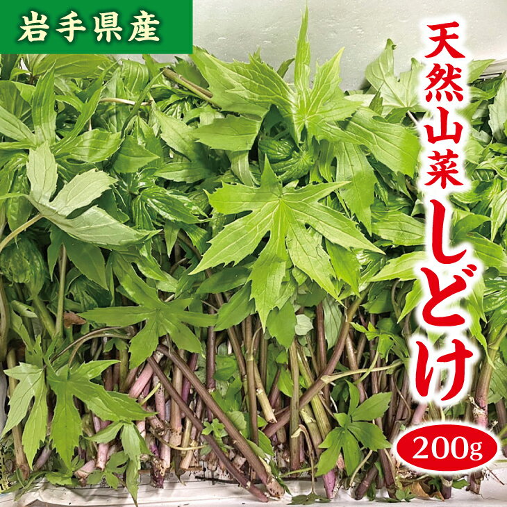 【先行予約】 【4月下旬頃～発送予定】 山菜 しどけ 約200g 天然山菜 さんさい 野菜 やさい 山の幸 旬