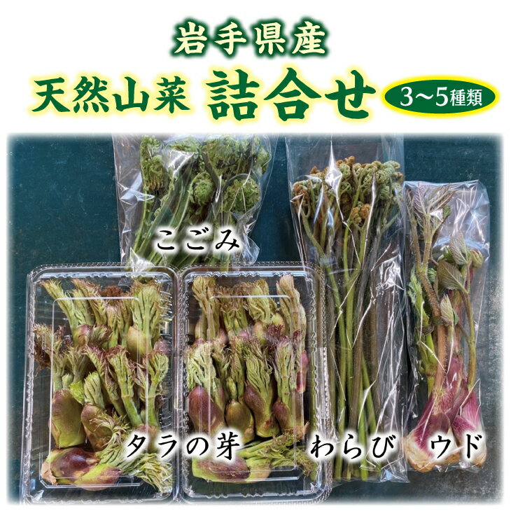 【ふるさと納税】 【先行予約】 【4月下旬頃～発送予定】 山菜 天然の山菜セット3～5種類程度 たらのめ しどけ わらび こごみ 山うど コシアブラ 天然山菜 さんさい 野菜 やさい 山の幸 旬 - 画像2