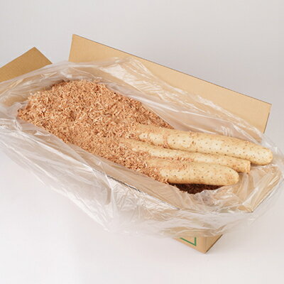 【ふるさと納税】【軽米町産】長芋　約10kg【配送不可地域：離島・沖縄県】【1033987】 - 画像2