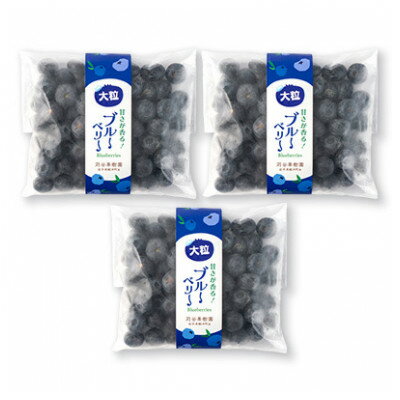 軽米町産【完熟大粒ブルーベリー】冷凍　300g×3袋(合計約900g)【配送不可地域：離島・沖縄県】【1675299】