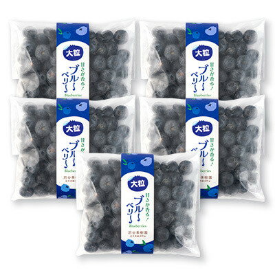 軽米町産【完熟大粒ブルーベリー】冷凍　300g×5袋(合計約1500g)【配送不可地域：離島・沖縄県】【1675308】