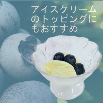 【ふるさと納税】軽米町産【完熟大粒ブルーベリー】冷凍　300g×5袋(合計約1500g)【配送不可地域：離島・沖縄県】【1675308】 サムネイル2