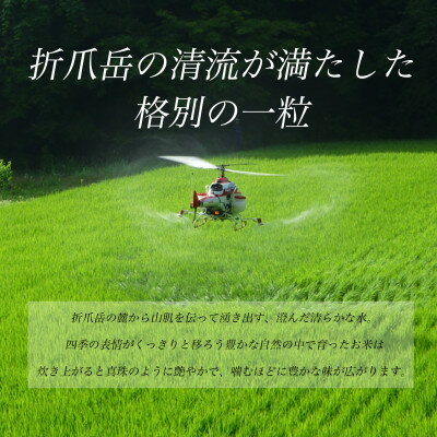 【ふるさと納税】令和6年産　岩手県軽米町産　精米　あきたこまち　10kg(5kg×2袋)【配送不可地域：離島・沖縄県】【1714158】 - 画像3