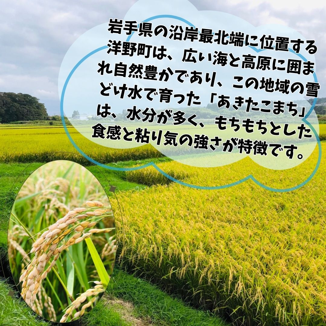 【ふるさと納税】【3ヵ月定期便】令和7年産洋野町産あきたこまち5kg×3回 - 画像2