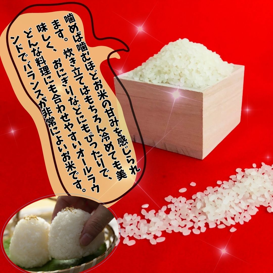 【ふるさと納税】【3ヵ月定期便】令和7年産洋野町産あきたこまち5kg×3回 - 画像3