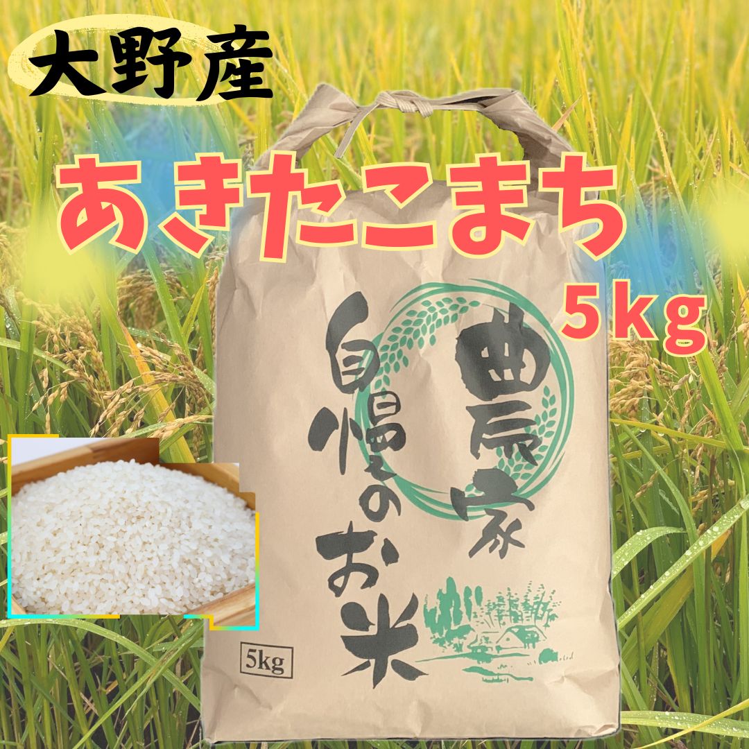 【令和7年産】大野産あきたこまち5kg