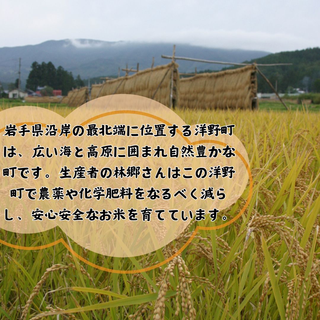【ふるさと納税】【令和7年産】大野産あきたこまち5kg - 画像2