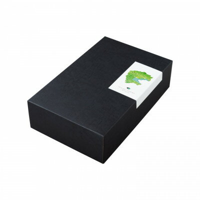 【ふるさと納税】【南三陸ワイナリー】のスパークリングワイン・白ワイン2本セット(ギフトボックス入り)【配送不可地域：離島】【1378810】 サムネイル2