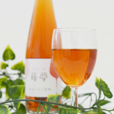 【ふるさと納税】山元いちご農園 いちごスパークリングワイン 苺夢(べりーむ) 500ml【1378828】 サムネイル2