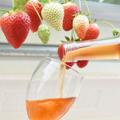 【ふるさと納税】山元いちご農園 いちごワイン 愛苺(まないちご) 720ml【1378830】 サムネイル3