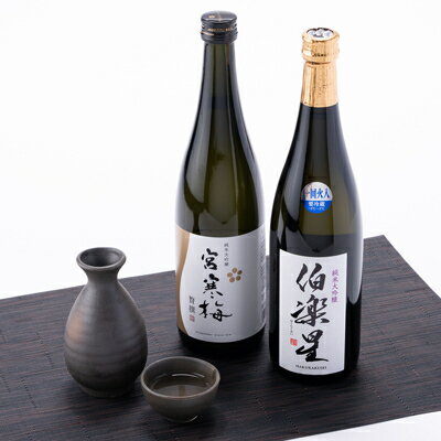 【ふるさと納税】伯楽星・宮寒梅　純米大吟醸(精米40%)飲み比べセット【720ml×2(各1本)】_ 日本酒 純米大吟醸 飲み比べ 伯楽星 宮寒梅 宮城 地酒 ギフト 送料無料 【配送不可地域：離島】【1400190】 サムネイル3