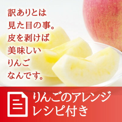 【ふるさと納税】宮城県産 ご家庭用 サンふじ5kg(11～20玉入り)生産者選別済みのリンゴ【1461381】 サムネイル2