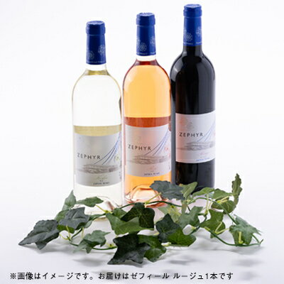【ふるさと納税】了美ワイン 人気赤ワイン ゼフィールルージュ 750ml×1本【1599869】 サムネイル3