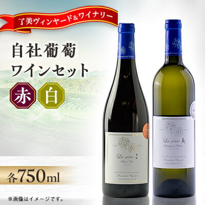 自社葡萄を使用したワイン2本セット ピノノワール・ソーヴィニヨンブラン　750ml×各1本【1599871】