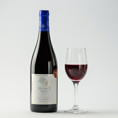 【ふるさと納税】自社葡萄を使用したワイン2本セット ピノノワール・ソーヴィニヨンブラン　750ml×各1本【1599871】 サムネイル3