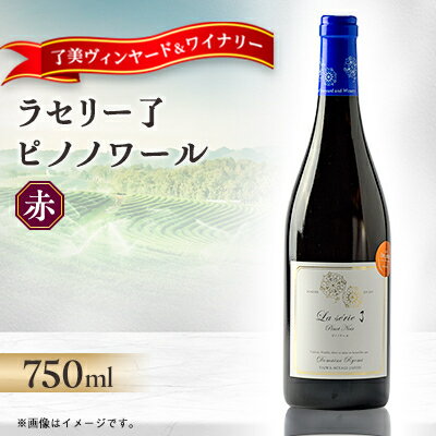 ラセリー了 ピノノワール 750ml×1本【1599873】