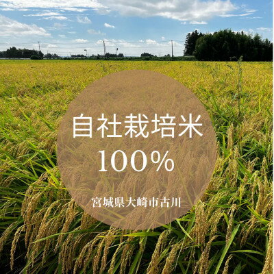 【ふるさと納税】宮寒梅　EXTRA CLASS　純米大吟醸35% 至粋【配送不可地域：離島】【1613600】 サムネイル2