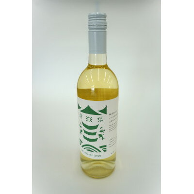 【南三陸ワイナリー】デラウェア　白(辛口)　750ml×1本【1614122】